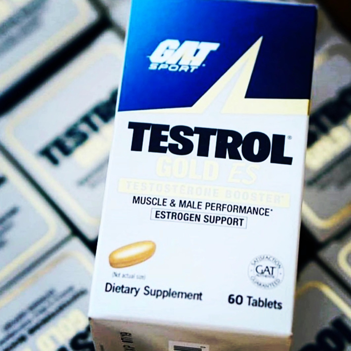 620387095 18035829506757823 910141935238817326 n PowerMuscle