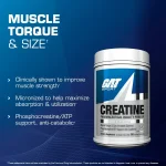 Creatina Monohidrato 300G